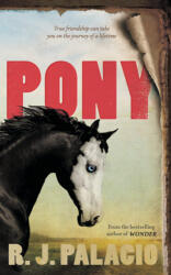 Pony (ISBN: 9780141377056)