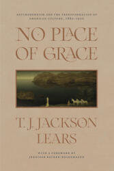 No Place of Grace: Antimodernism and the Transformation of American Culture 1880-1920 (ISBN: 9780226794440)