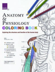 Anatomy & Physiology Colouring Book - Scientific Publishing (ISBN: 9781935612704)