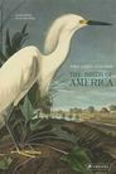 The Birds of America - John James Audubon, David Allen Sibley (ISBN: 9783791379142)