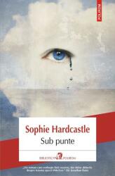 Sub punte (ISBN: 9789734686506)