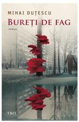 Bureți de fag (ISBN: 9786064011572)