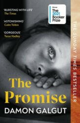 The Promise (ISBN: 9781529113877)