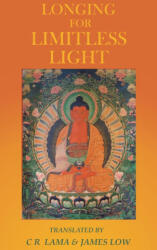 Longing for Limitless Light (ISBN: 9781739938109)