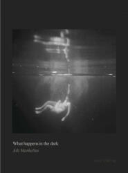 What happens in the dark (ISBN: 9789171265555)