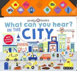 What Can You Hear? In The City (ISBN: 9781838992385)