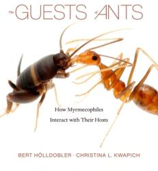Guests of Ants - Bert Hölldobler, Christina L. Kwapich (ISBN: 9780674265516)