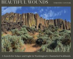 Beautiful Wounds: A Search for Solace and Light in Washington's Channeled Scablands (ISBN: 9781682686805)