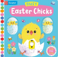 Busy Easter Chicks (ISBN: 9781529087369)