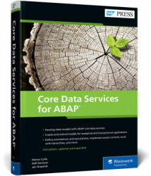 Core Data Services for ABAP - Ralf Dentzer, Jan Hrastnik (ISBN: 9781493221097)