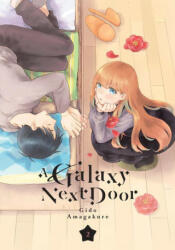 Galaxy Next Door 2 (ISBN: 9781646514649)