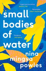 Small Bodies of Water (ISBN: 9781838852184)