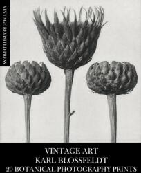 Vintage Art: Karl Blossfeldt 20 Botanical Photography Prints (ISBN: 9781006605314)