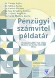 PÉNZÜGYI SZÁMVITEL PÉLDATÁR (ISBN: 9789633948774)