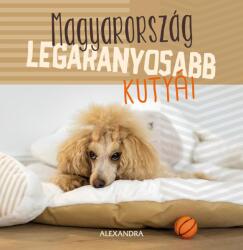 Magyarország legaranyosabb kutyái (2021)