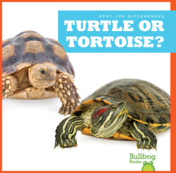 Turtle or Tortoise? (ISBN: 9781636903521)