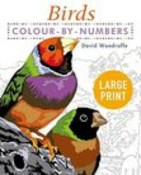 Large Print Colour by Numbers Birds - David Woodroffe (ISBN: 9781398808904)