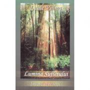 Lumina sufletului - Primul volum din seria Invata sa te ierti (ISBN: 9789738975200)