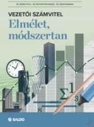 VEZETŐI SZÁMVITEL (ISBN: 9789636386139)