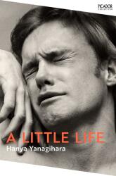 Little Life (ISBN: 9781529077216)