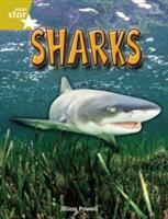 Rigby Star Independent Year 2 Gold Non Fiction Sharks Single (2002)
