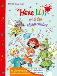 Hexe Lilli und der Elfenzauber - Birgit Rieger (ISBN: 9783401715667)