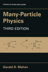 Many-Particle Physics (2000)