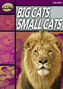 Rapid Reading: Big Cats Small Cats (2005)