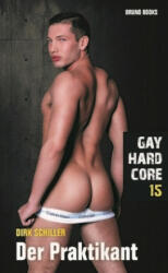 Gay Hardcore 15: Der Praktikant - Dirk Schiller (ISBN: 9783959853903)