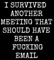 I Survived Another Meeting That Should Have Been A Fucking Email: An Irreverent Snarky Humorous Sarcastic Profanity Funny Office Co-worker Appreciatio - Adult Gratitude Journals &. Notebooks (ISBN: 9781096565536)