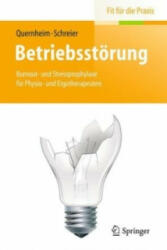 Betriebsstorung - German Quernheim, Maria Schreier (ISBN: 9783642405303)