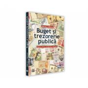 Buget si trezorerie publica. Editia a VIII-a, revazuta si adaugita - I. Gabriel Nastase (ISBN: 9786062613532)