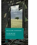 Ce-am mai ras! O poveste serioasa - William Saroyan (ISBN: 9786063314476)