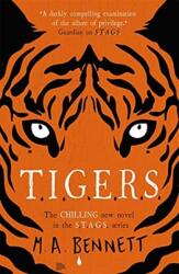 STAGS 4: TIGERS (ISBN: 9781471408687)