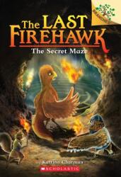 Secret Maze: A Branches Book (ISBN: 9781338565379)