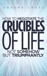 How to Negotiate the Crucibles of Life not Somehow but Triumphantly (ISBN: 9781528991681)