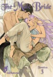 The Male Bride 3 (ISBN: 9783551621535)