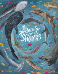 Spectacular Lives of Sharks - Annabel Griffin (ISBN: 9781914087479)
