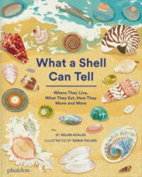 What A Shell Can Tell - Sonia Pulido (ISBN: 9781838664305)