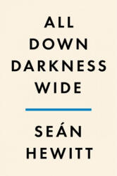 All Down Darkness Wide: A Memoir - Hewitt, Seán (ISBN: 9780593300084)