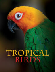 Tropical Birds (ISBN: 9781838861964)