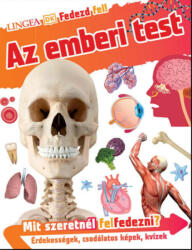 Az emberi test (ISBN: 9789635050833)