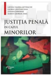 Justiția penală în cazul minorilor (ISBN: 9786062718664)