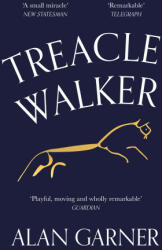 Treacle Walker - Alan Garner (ISBN: 9780008477806)
