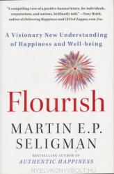 Flourish - Martin E P Seligman (2012)