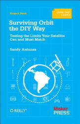 Surviving Orbit the DIY Way - Sandy Antunes (2012)