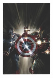 Captain America/iron Man (ISBN: 9781302934637)