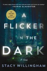 A Flicker in the Dark - Stacy Willingham (ISBN: 9781250803825)