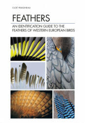 Feathers - Cloe Fraigneau (ISBN: 9781472971722)