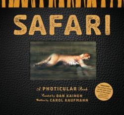 Dan Kainen - Safari - Dan Kainen (2012)